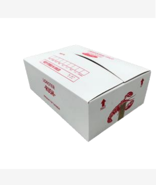 28圈(中国游)官方网站